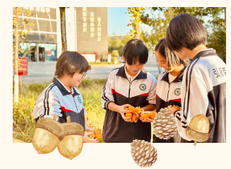 河北邯郸：肥乡区第五中学开展第二届“校园果实采摘节”